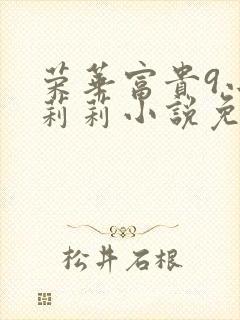 荣华富贵9小王莉莉小说免费阅读