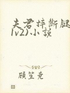 夫君摔断腿后(1v2)小说