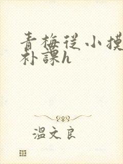 青梅从小摸到大补课h