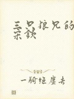 三只狼兄的宠妻宋钦