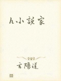 h小说家