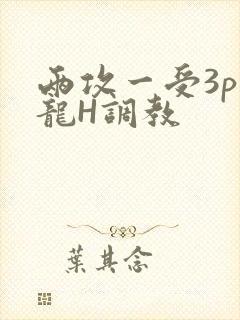 两攻一受3p双龙H调教