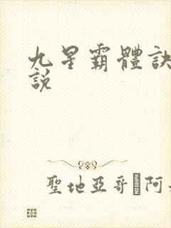 九星霸体诀 小说