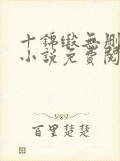 十锦缎无删原著小说免费阅读