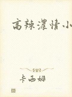 高辣浓情小说