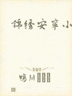 锦绣安宁小说
