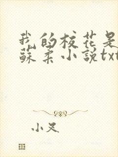 我的校花是福姬苏柔小说txt