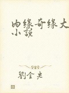 内缘奇缘大团圆小说