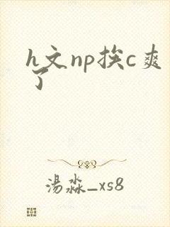 h文np挨c爽了