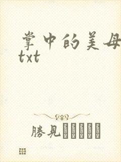 掌中的美母版主txt
