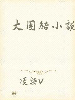 大团结小说全文