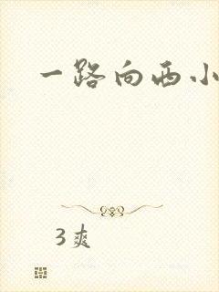 一路向西小说