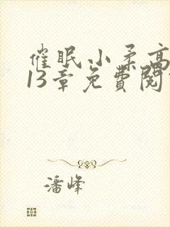 催眠小柔高达第13章免费阅读