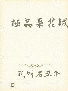 极品采花贼