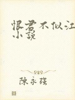 恨君不似江楼月小说