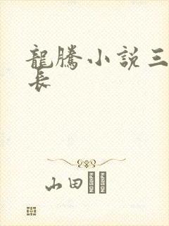 龙腾小说三宝局长