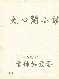 文心阁小说