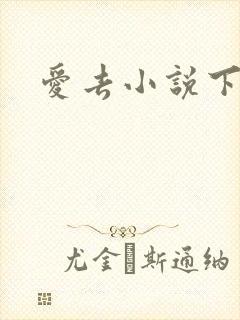 爱去小说下载网