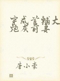 穿成首辅大人的炮灰前妻