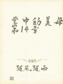 掌中的美母版主第14章