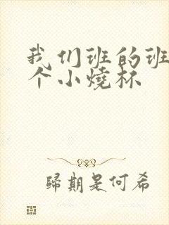 我们班的班花是个小烧杯