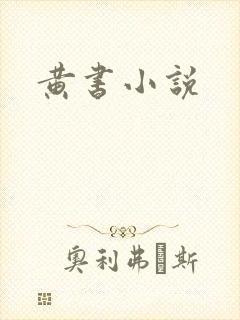 黄书小说