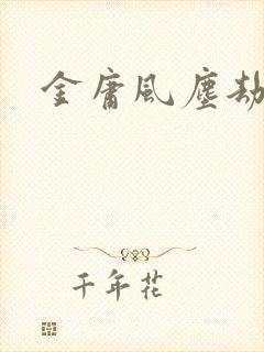 金庸风尘劫