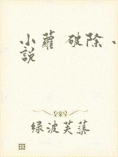 小萝 破除 小说