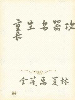 重生名器攻略兄长