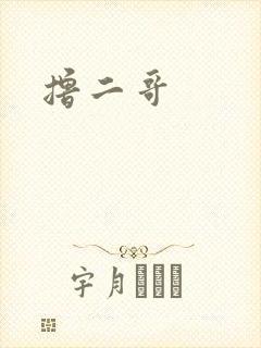 撸二哥