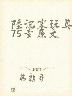 陆沉塞玩具高速75章原文