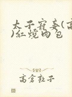 太子宠妾(高肉)红烧肉包