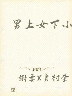 男上女下小说
