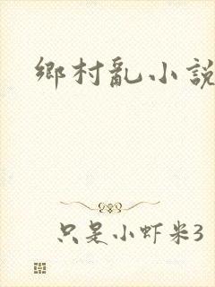 乡村乱小说
