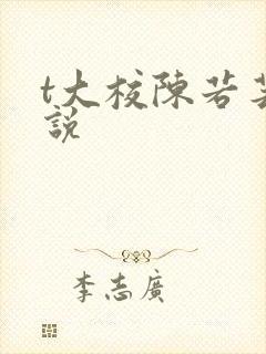 t大校陈若芸小说