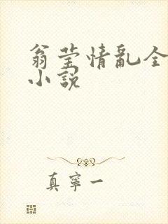 翁莹情乱全部篇小说