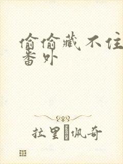 偷偷藏不住新婚番外