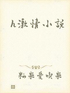 h激情小说