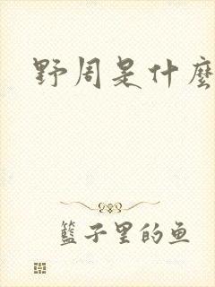 野周是什么意思