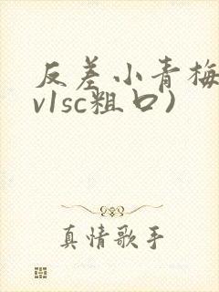 反差小青梅(1v1sc粗口)