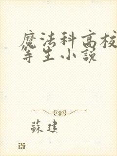 魔法科高校的劣等生小说