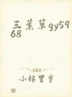 三叶草gy5968