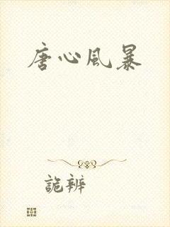 唐心风暴