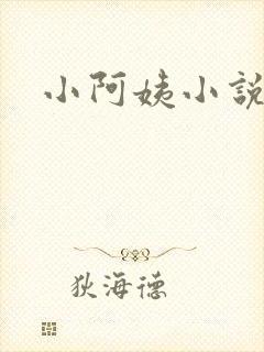 小阿姨小说
