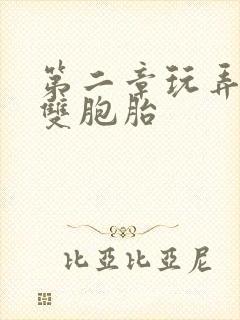 第二章玩弄少妇双胞胎