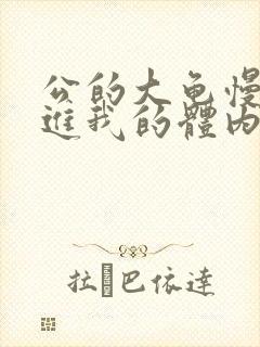 公的大龟慢慢挺进我的体内