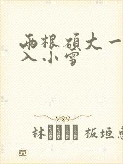 两根硕大一起挤入小雪