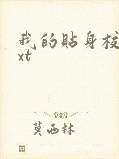 我的贴身校花txt