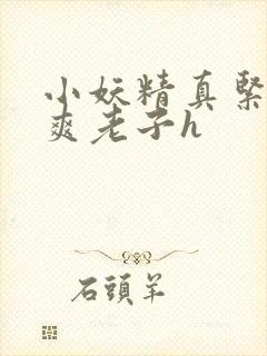 小妖精真紧h嘶爽老子h