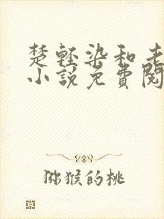 楚轻染和老周的小说免费阅读